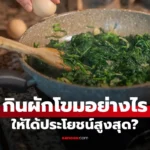 กินผักโขม อย่างไรให้ได้ประโยชน์สูงสุด ให้ร่างกายได้สารอาหาร