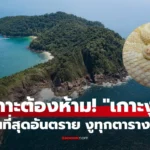 เกาะงู สถานที่สุดอันตราย งูทุกตารางเมตร เกาะต้องห้าม!