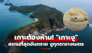 เกาะงู