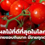 ผลไม้ที่ดีที่สุดในโลก คนไทยชอบกินมาก มีขายทุกตลาด