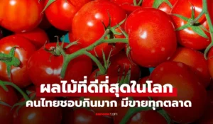 ผลไม้ที่ดีที่สุดในโลก