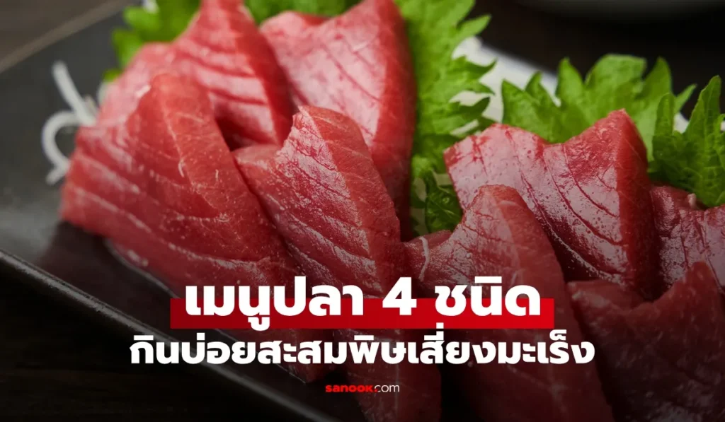 ปลา 4 ชนิด เมนูยอดนิยมทั่วโลก กินบ่อยเสี่ยงตายผ่อนส่ง