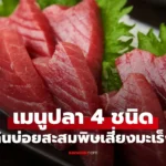 ปลา 4 ชนิด เมนูยอดนิยมทั่วโลก กินบ่อยเสี่ยงตายผ่อนส่ง