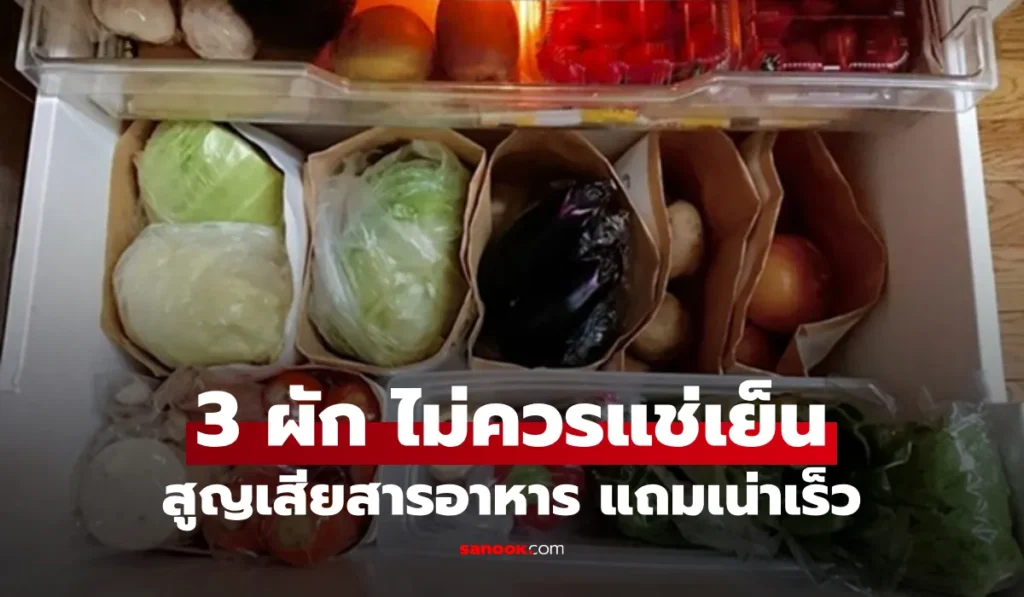 3 ผัก ไม่ควรแช่เย็น สูญเสียสารอาหาร แถมเร่งเน่าเร็ว
