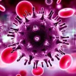 เชื้อ HIV  เชื้อไวรัสที่เข้าทำลายระบบภูมิคุ้มกันของร่างกาย
