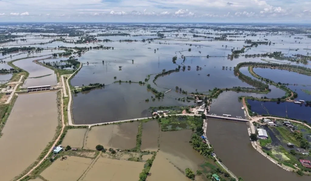 ทุ่งบางระกำ เก็บน้ำเกือบเต็ม หน่วงน้ำบรรเทาผลกระทบ