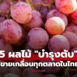 5 ผลไม้ บำรุงตับ อย่างวิเศษ จัดอยู่ในบัญชีทองคำ มีขายทุกตลาด
