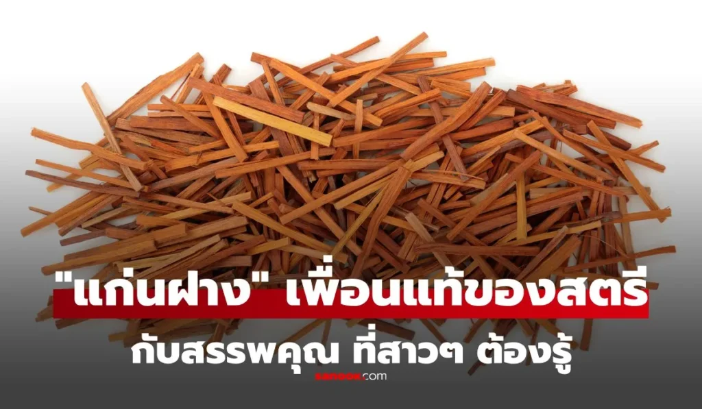 แก่นฝาง สมุนไพรที่ถูกยกเป็น “เพื่อนแท้ของสตรี” คุณค่าเพียบ