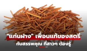 แก่นฝาง