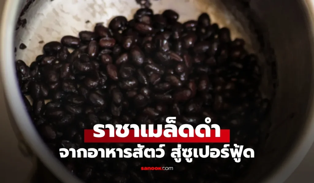 ราชาเมล็ดดำ  โปรตีนสูง บำรุงไต หัวใจชอบมาก สู่ซูเปอร์ฟู้ด