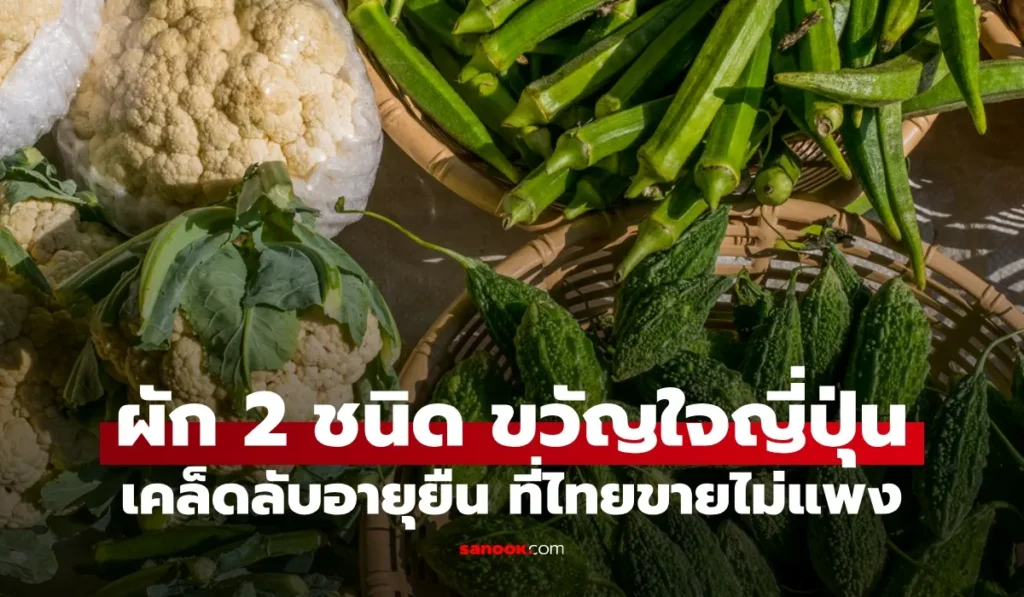 ผัก 2 ชนิด ขวัญใจคนญี่ปุ่น เคล็ดลับอายุยืนยาวศัตรูโรคเบาหวาน
