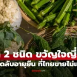 ผัก 2 ชนิด ขวัญใจคนญี่ปุ่น เคล็ดลับอายุยืนยาวศัตรูโรคเบาหวาน