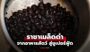 ราชาเมล็ดดำ