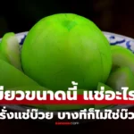 ฝรั่งแช่บ๊วย  สีเขียวสดขนาดนี้ ต้องแช่อะไร อันตรายหรือไม่