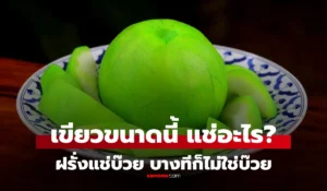 ฝรั่งแช่บ๊วย