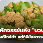 บวบ หากินง่าย คุณค่าสูง แต่ก่อนกินมีเรื่องต้องระวังเหมือนกัน