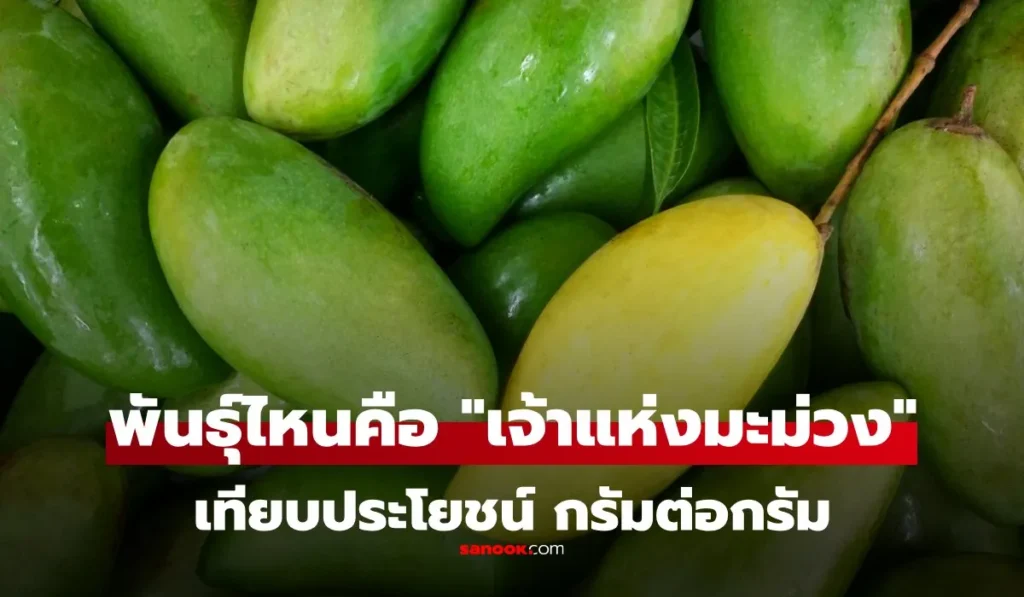 ราชาแห่งมะม่วง เทียบคุณค่าทางโภชนาการ ข้อดี-ข้อจำกัด