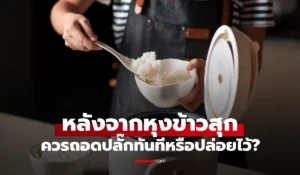 หม้อหุงข้าว