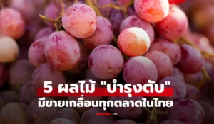 5 ผลไม้ บำรุงตับ