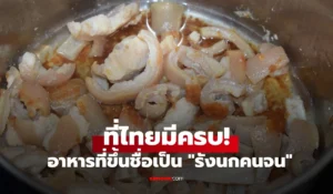 รังนกคนจน