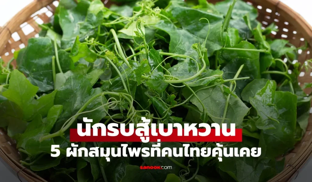 5 สมุนไพรไทย  นักรบสู้เบาหวาน” ผักพื้นบ้านลดน้ำตาลในเลือด