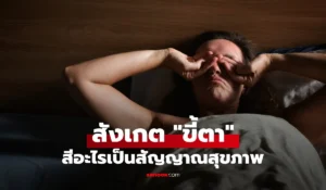 ขี้ตา