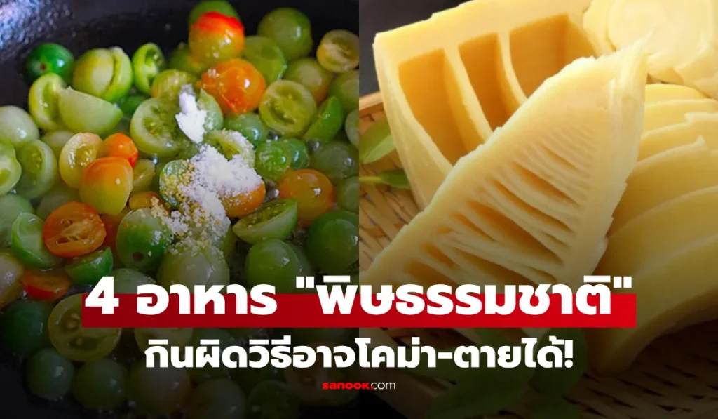 4 อาหาร พิษตามธรรมชาติ  กินผิดวิธีเสี่ยงหมดสติหรือเสียชีวิต