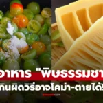 4 อาหาร พิษตามธรรมชาติ  กินผิดวิธีเสี่ยงหมดสติหรือเสียชีวิต