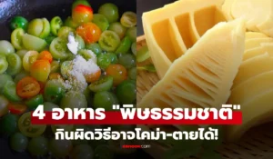 4 อาหาร พิษตามธรรมชาติ