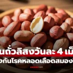 ถั่วลิสง กินแค่วันละ 4 เม็ด ป้องกันโรคหลอดเลือดสมองได้