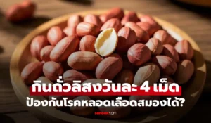 ถั่วลิสง