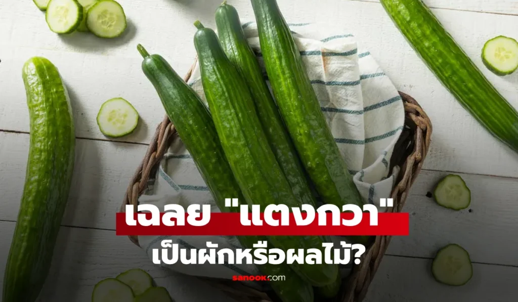 แตงกวา คือผักหรือผลไม้?” คำตอบแรกของคนส่วนใหญ่