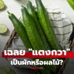 แตงกวา คือผักหรือผลไม้?” คำตอบแรกของคนส่วนใหญ่