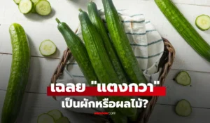 แตงกวา 
