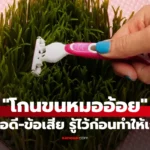 ขนในที่ลับ มีทั้งข้อดีและข้อเสีย รู้ไว้ก่อนลงมือทำให้เกลี้ยง