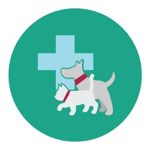 คลินิคแมว ใกล้ฉัน