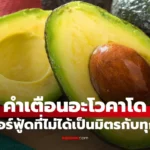 อะโวคาโด ซูเปอร์ฟู้ดที่อาจไม่เป็นมิตรกับทุกคน อันตราย
