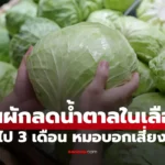 กินผักลดน้ำตาลในเลือด ได้ใน 3 เดือน หมอรู้วิธีแล้วกุมขมับ