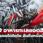 10 อาหารทะเลยอดนิยม  แซลมอน กุ้ง ปู ไม่ติดโผ อันดับหนึ่ง