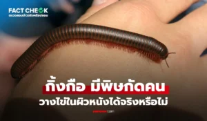 กิ้งกือ