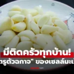 ศัตรูตัวฉกาจ ของเซลล์มะเร็ง ช่วยลดไขมันในเลือด-ลดความดัน