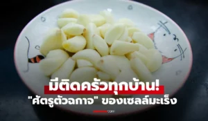 ศัตรูตัวฉกาจ