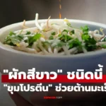 ผักสีขาว ชนิดนี้ แต่ไม่รู้เลยว่ามี ขุมโปรตีน ช่วยต้านมะเร็ง