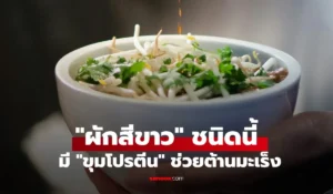 ผักสีขาว