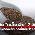 เมล็ดเจีย กิน 7 วัน เผยผลลัพธ์ที่ได้ ซูเปอร์ฟู้ดจริงหรือ