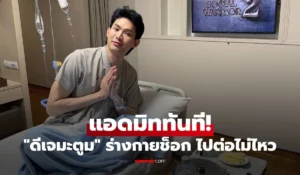 ดีเจมะตูม