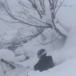 อั๋น ภูวนาท  เล่นสกีไถลตกเขาติดค้างบนยอดสน หวิดจมกองหิมะ