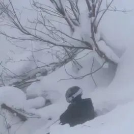 อั๋น ภูวนาท  เล่นสกีไถลตกเขาติดค้างบนยอดสน หวิดจมกองหิมะ