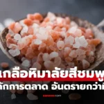 เกลือหิมาลัย เบื้องหลังความพรีเมียมอันตรายกว่าที่คิด