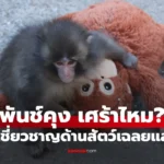 พันช์คุง ลิงน้อยถูกแม่ทิ้งมีความรู้สึก เศร้า เหมือนมนุษย์ไหม